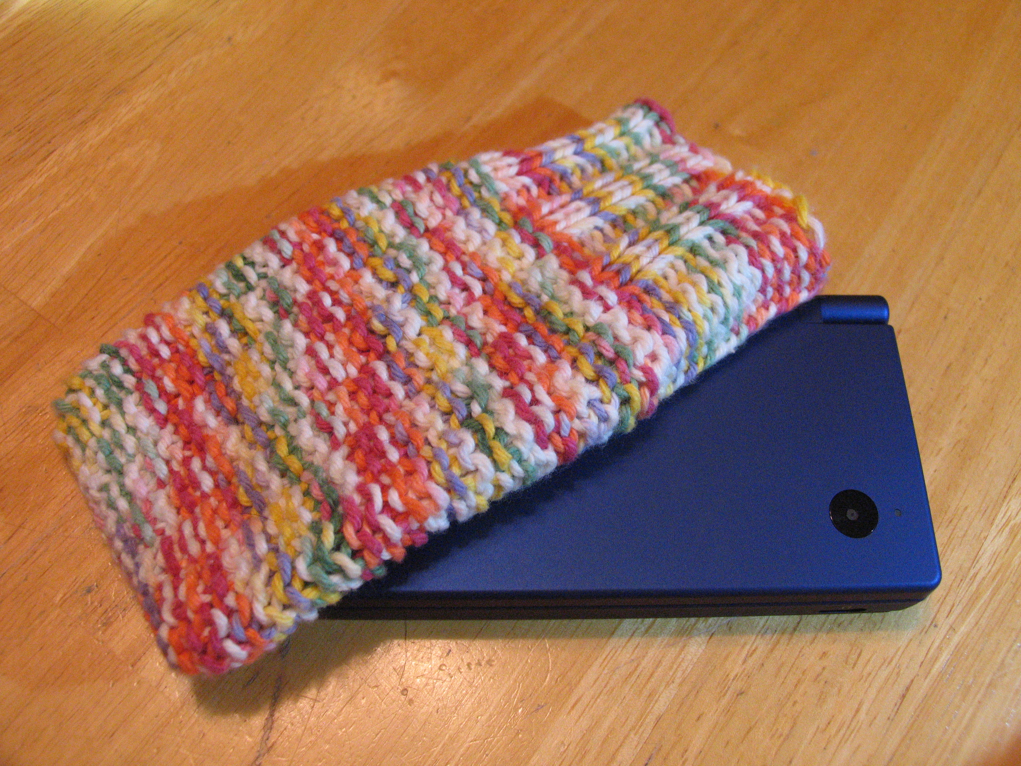 DSi case
